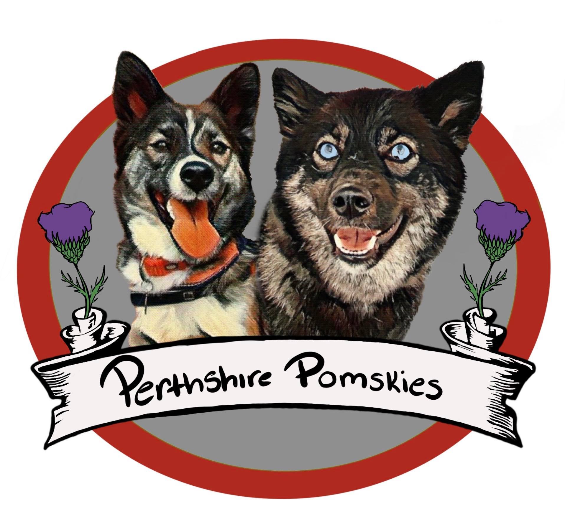 Perthshire Pomskies