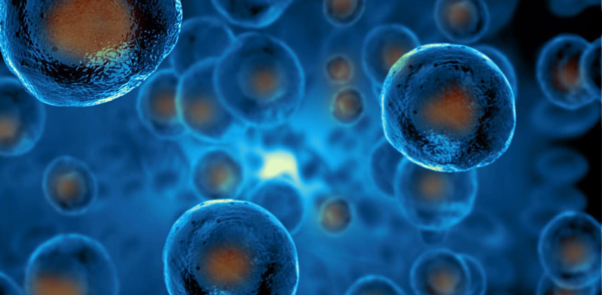 a bunch of cells are floating in the water on a blue background .