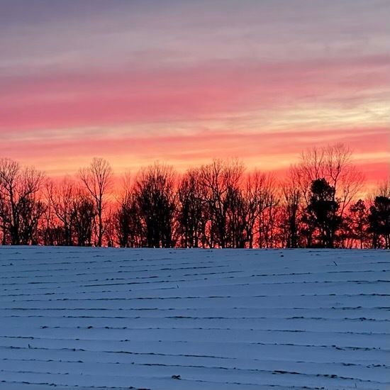 sunset over blackberry farm
