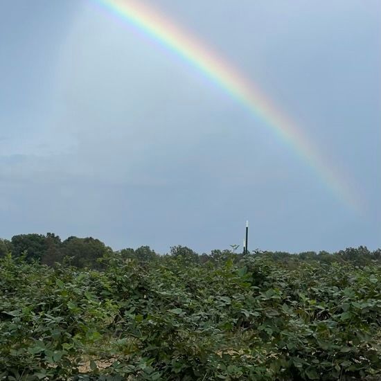 rainbow over blackberry farm