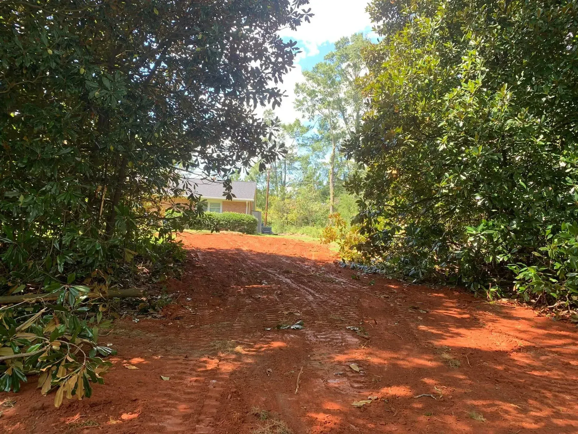 Dirt path between two trees, leading to a distant house under a blue sky.