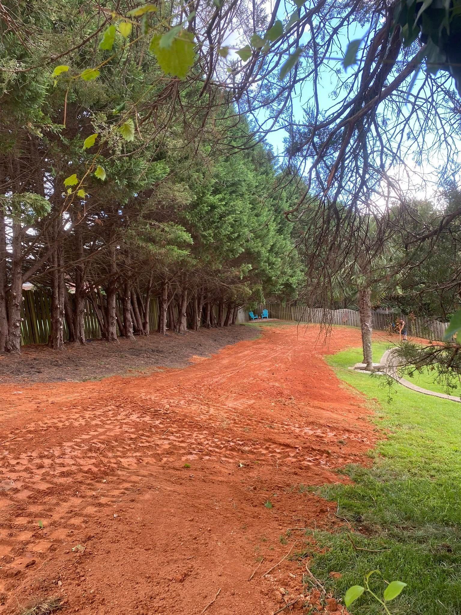 Red dirt road lined with trees under a blue sky. Green grass on the right.