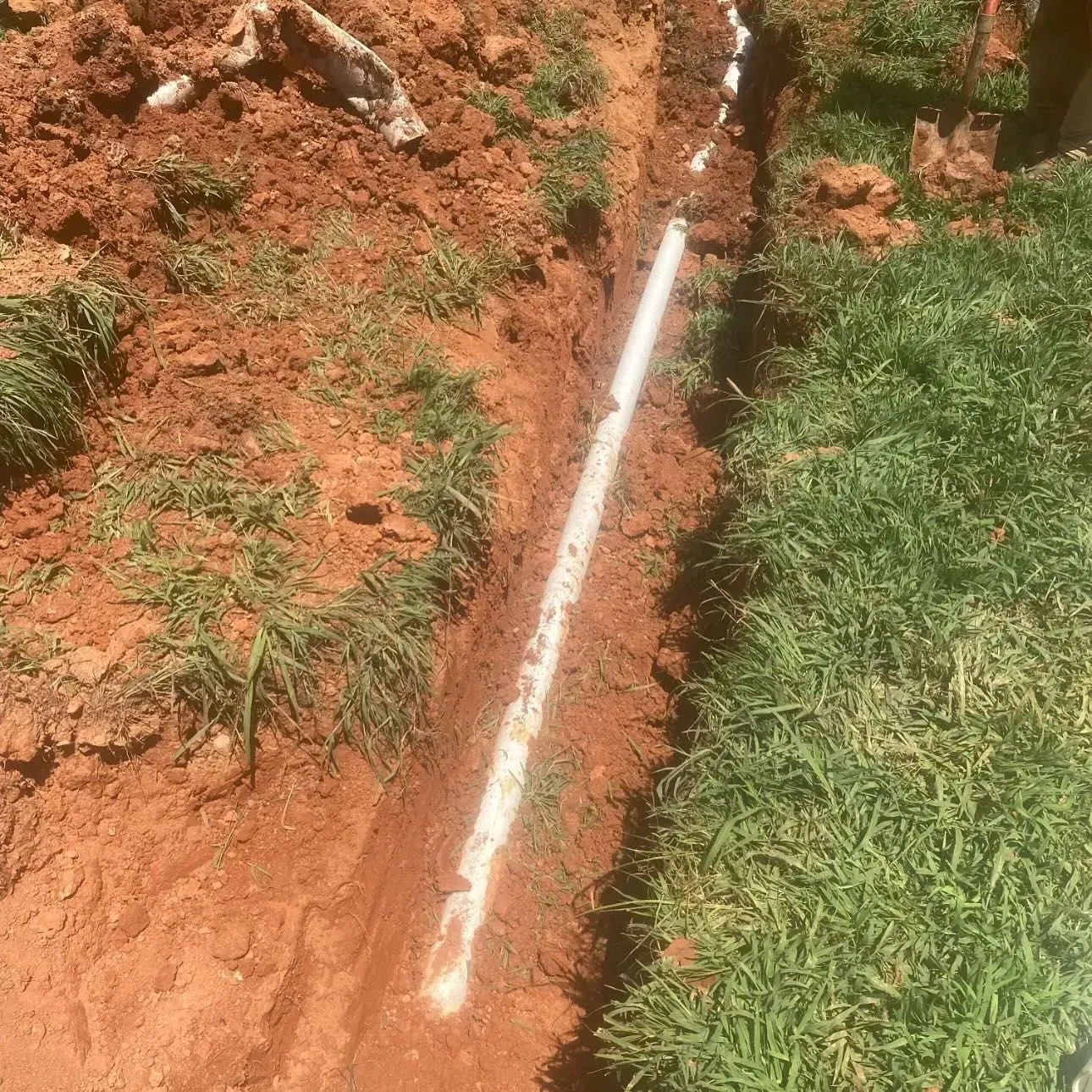 White PVC pipe in a narrow trench between red dirt and green grass.
