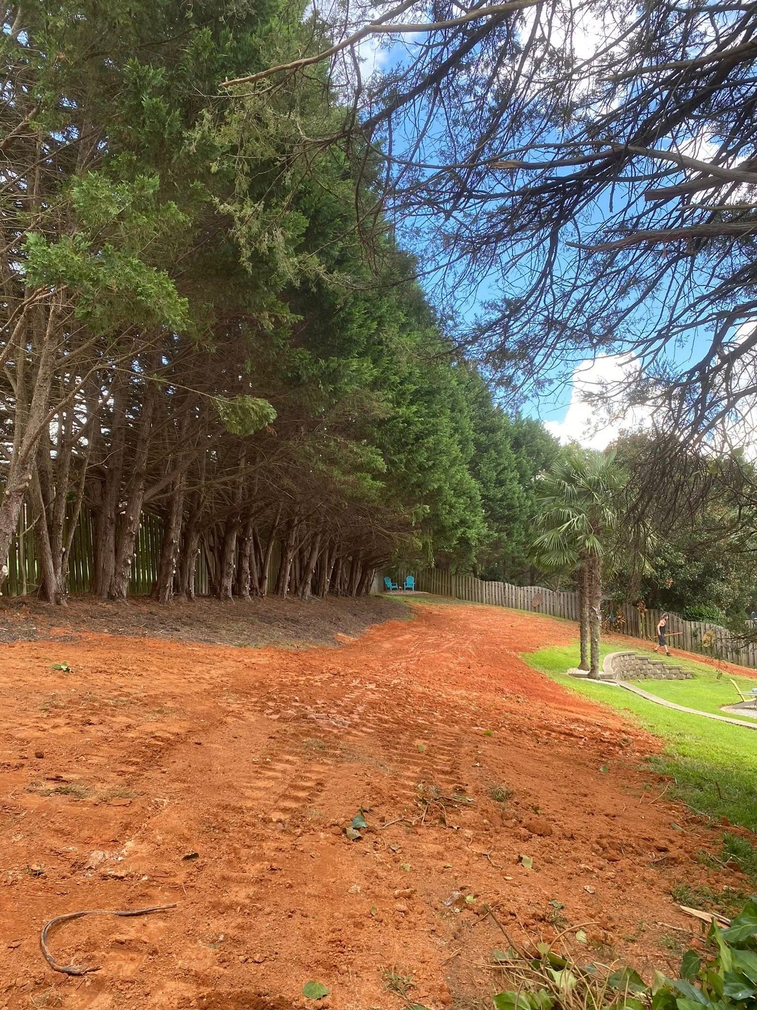 A row of tall evergreen trees borders a long expanse of reddish-brown dirt, under a partly cloudy sky.