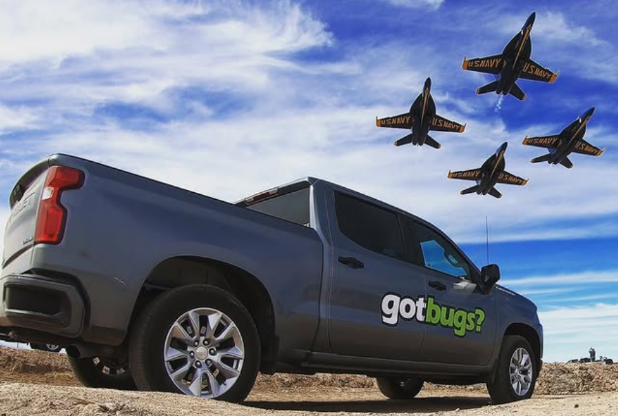 A truck with the word gotbugs on the back of it