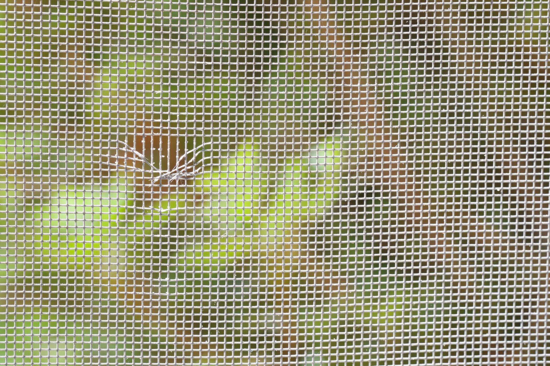 hole in a window screen