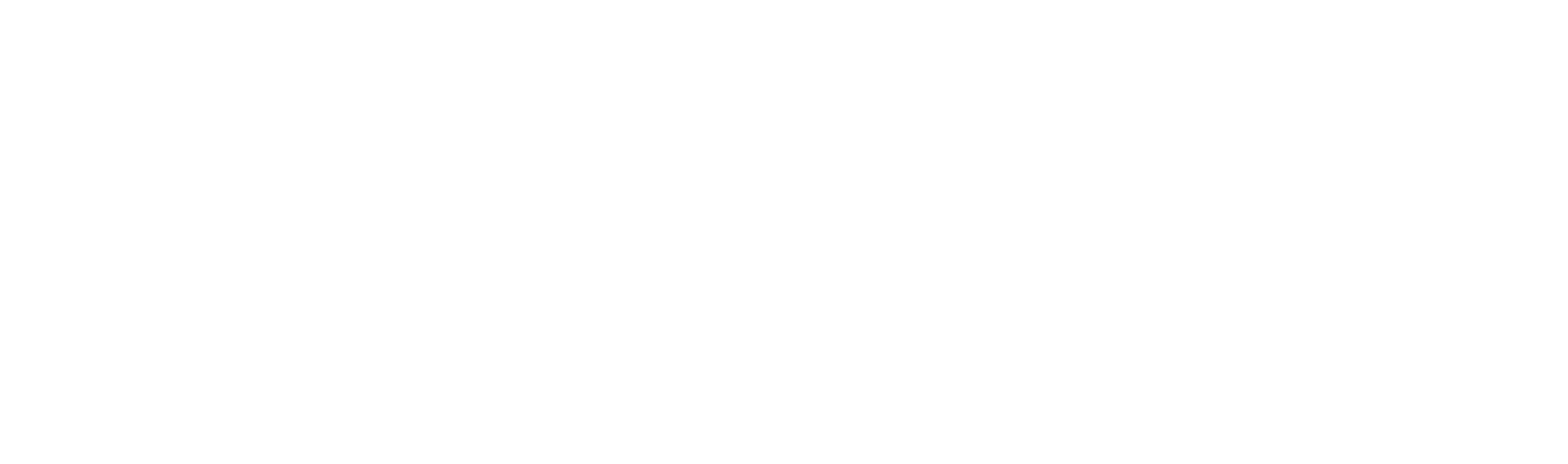 logo Paletti Marmi 