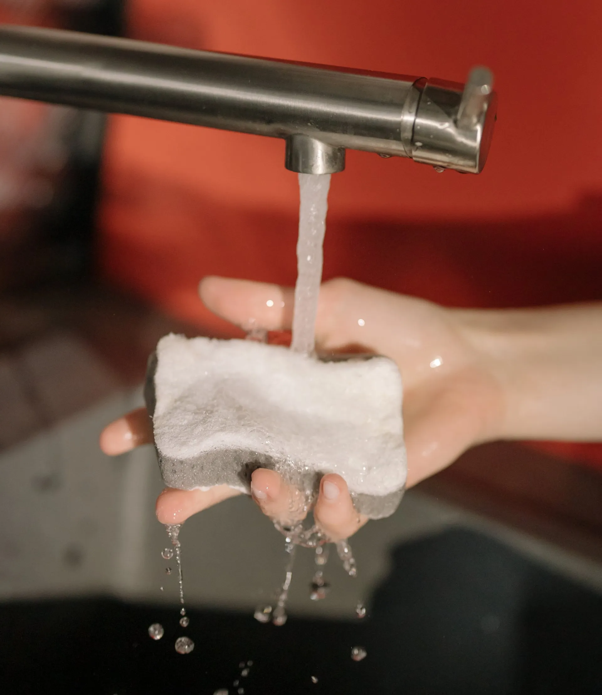 soap on a sponge