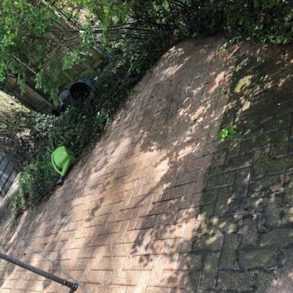An angled view of a weathered brick wall with greenery and a green watering can.
