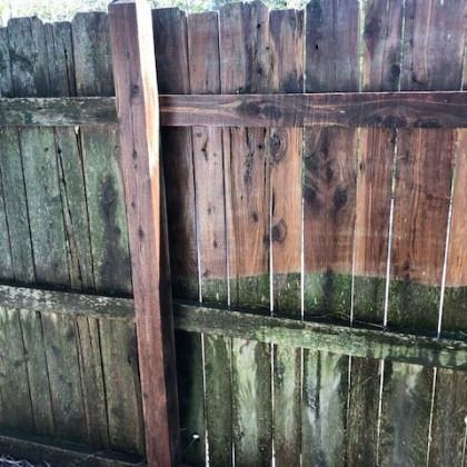 Wooden fence with dark vertical support post; sections show weathering and algae.