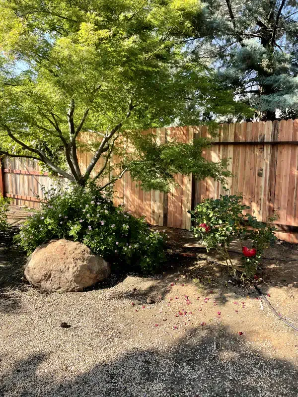 A wooden fence is surrounded by trees and bushes in a backyard.