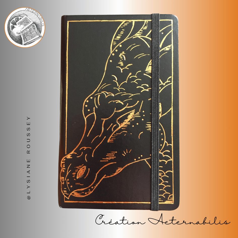 Un livre noir avec une image de dragon sur la couverture