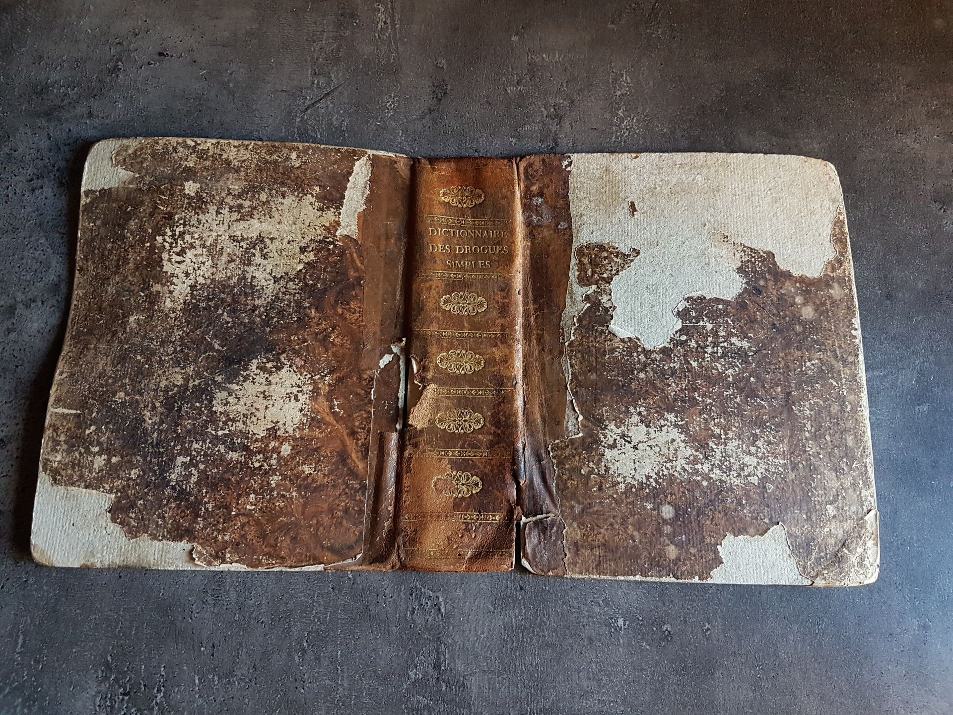 Un très vieux livre est posé sur une table