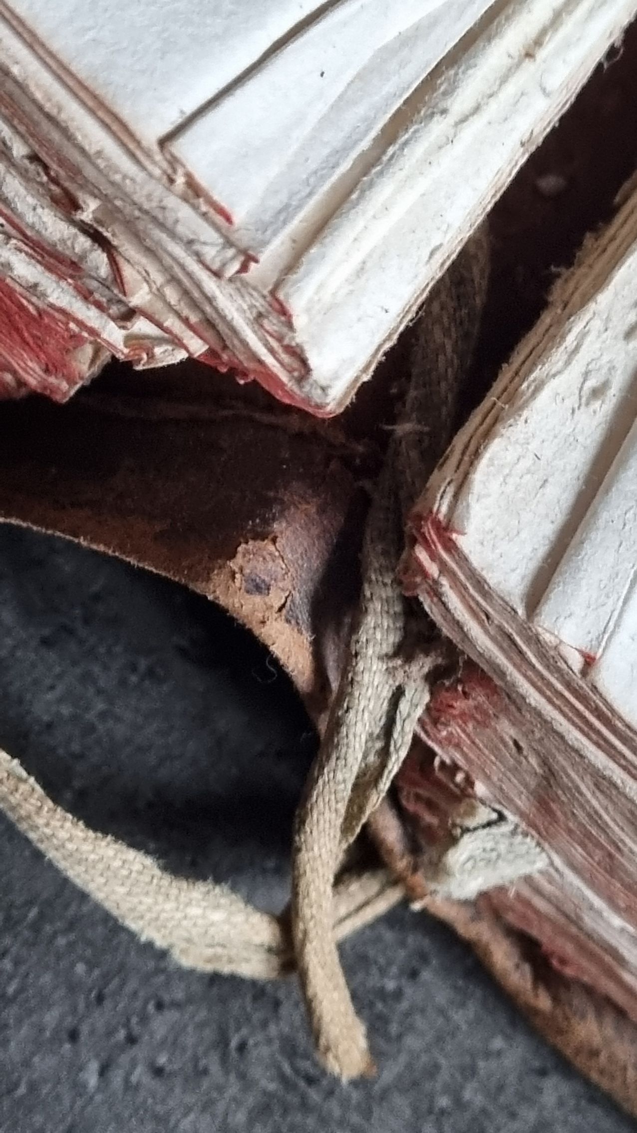 Un gros plan d'un morceau de bois avec une corde attachée.