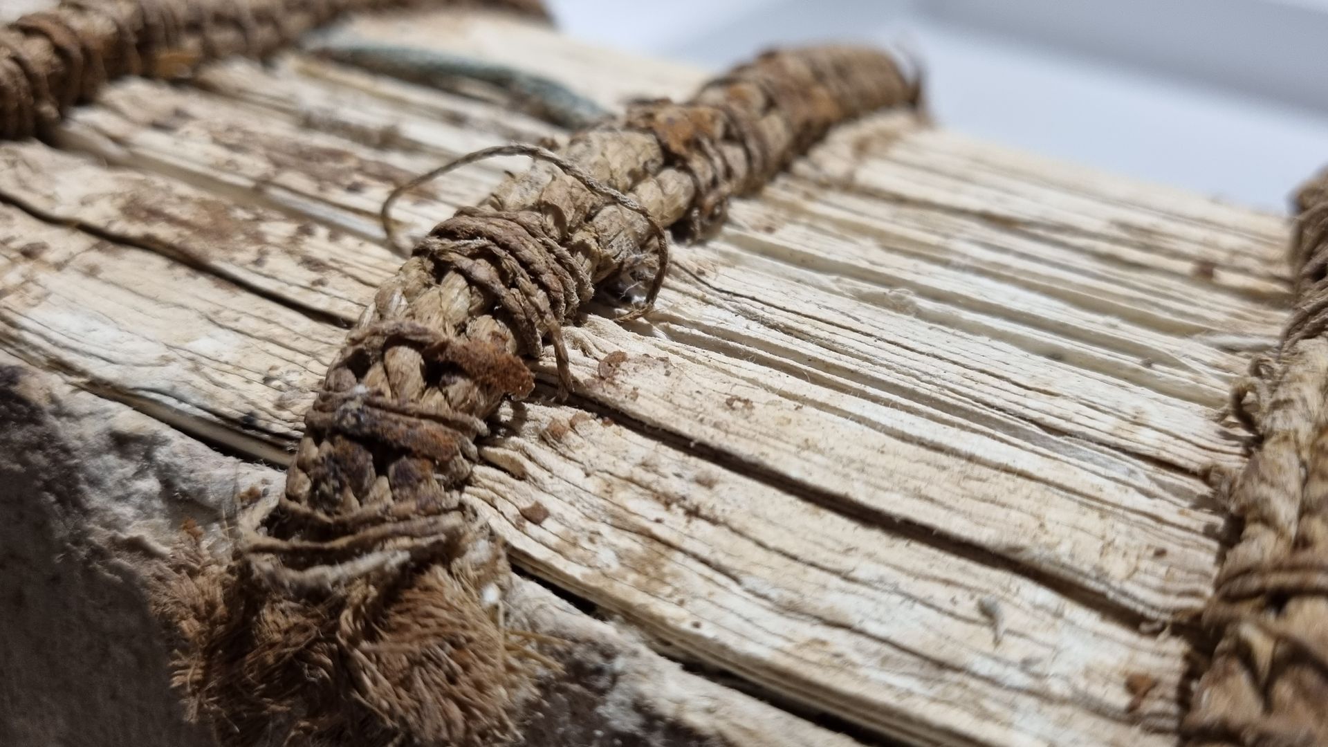 Un gros plan d'un morceau de bois avec une corde autour.