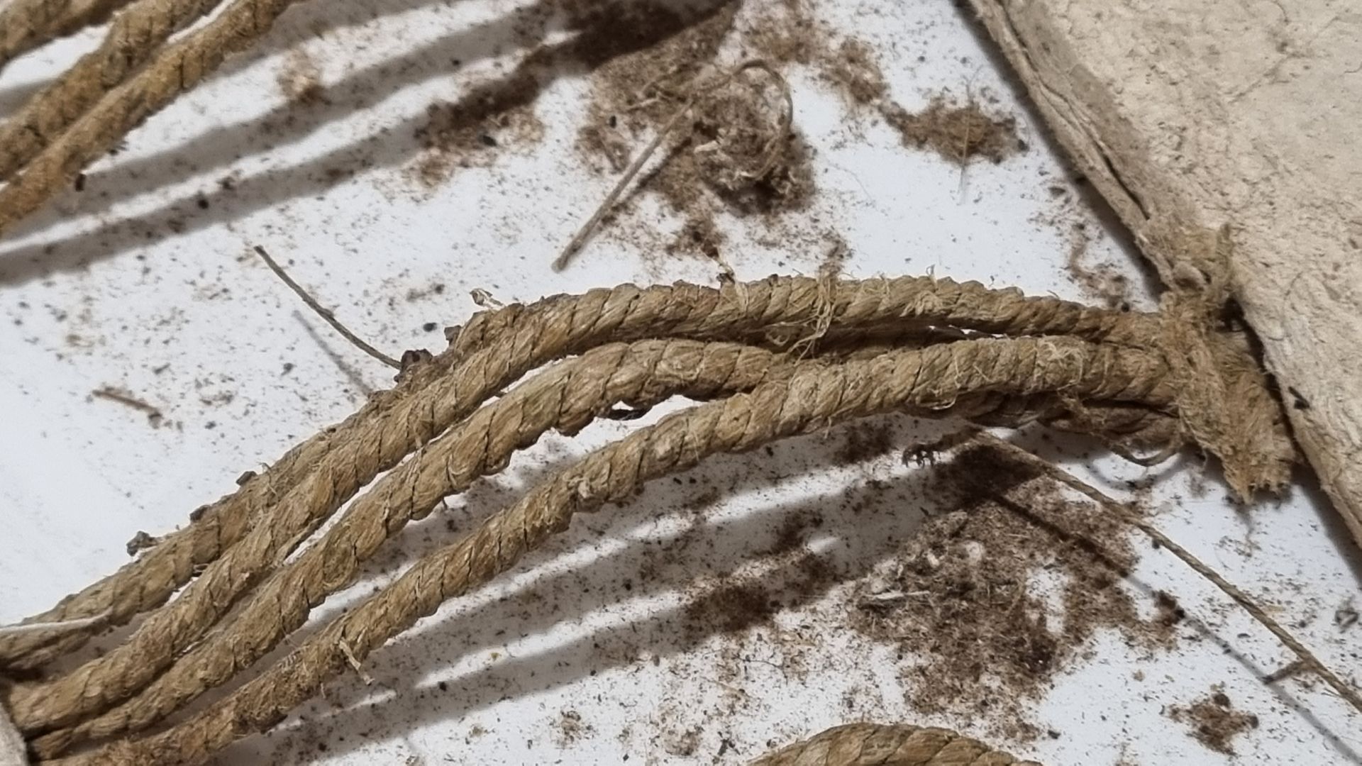 Un tas de cordes sont posées sur une surface blanche.