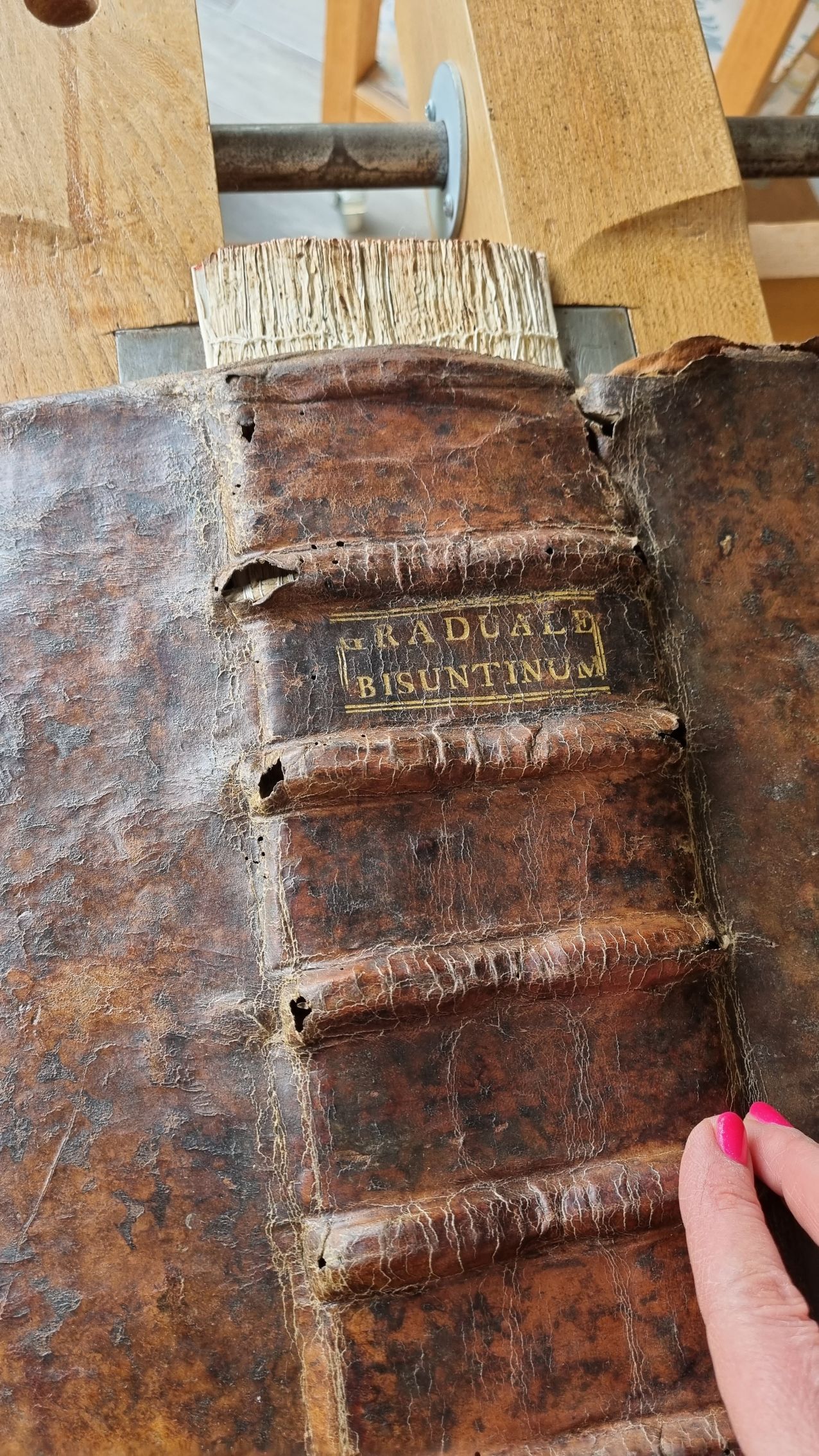 Une personne tient un morceau de bois à côté d'un livre.