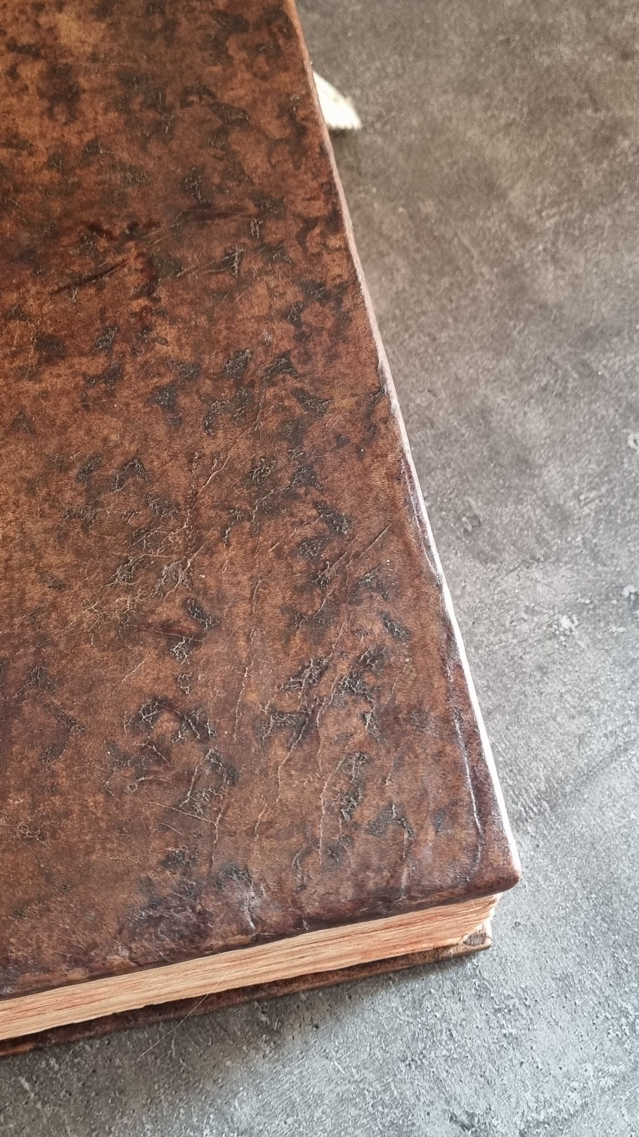 Un gros plan d'un morceau de bois sur un sol en béton.