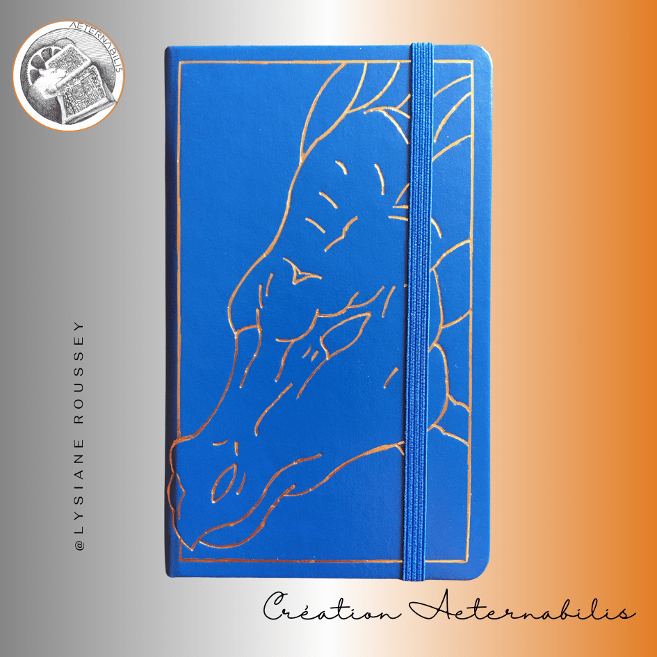 Un livre bleu avec une image de dragon sur la couverture