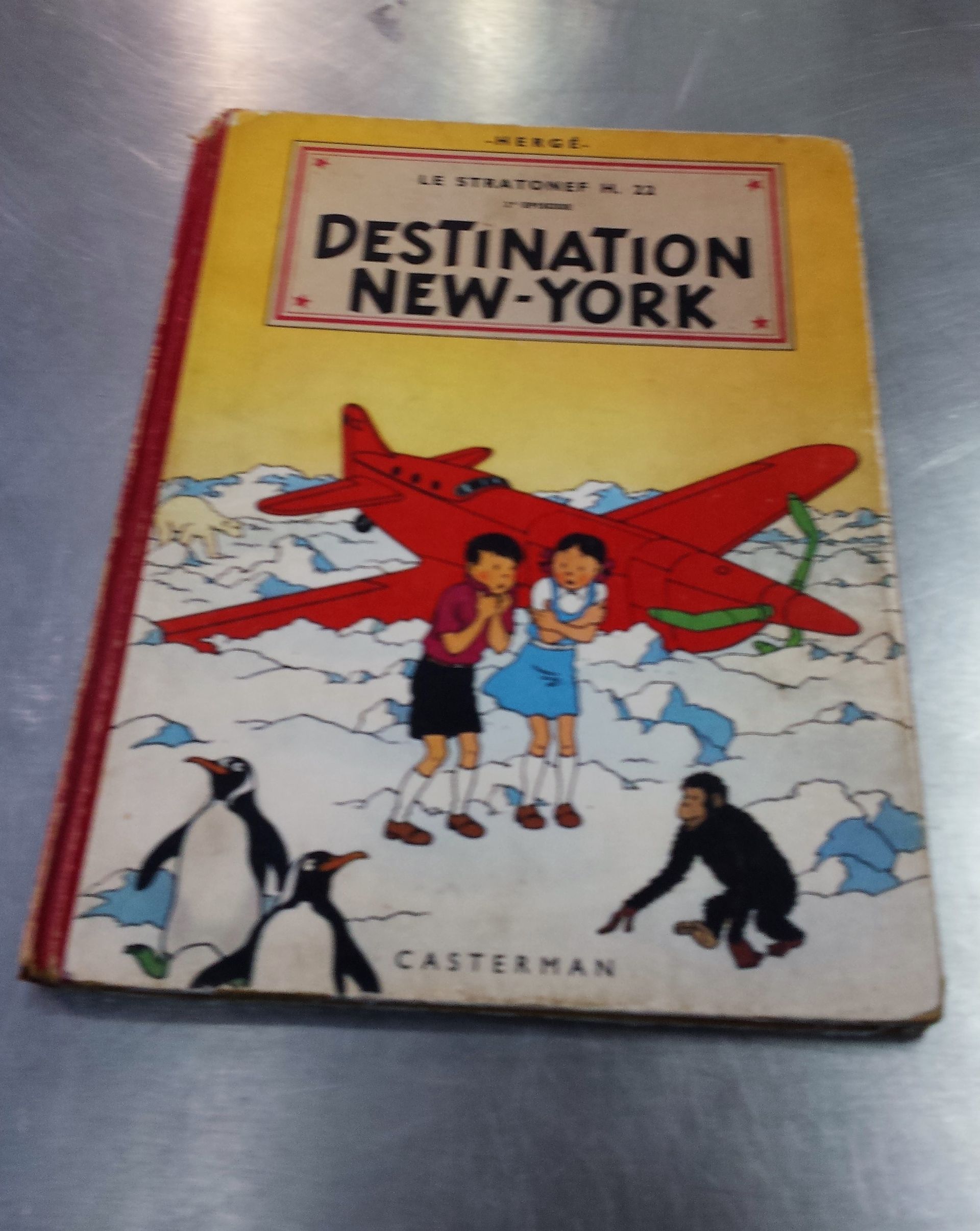 Un livre pour enfants intitulé destination new york