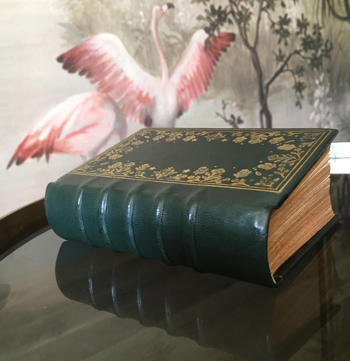 Un livre vert avec des flamants roses en arrière-plan