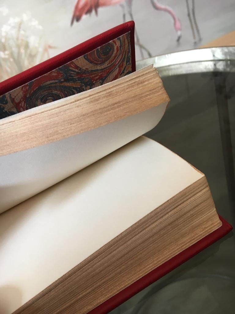 Un livre est ouvert sur une page avec des flamants roses en arrière-plan