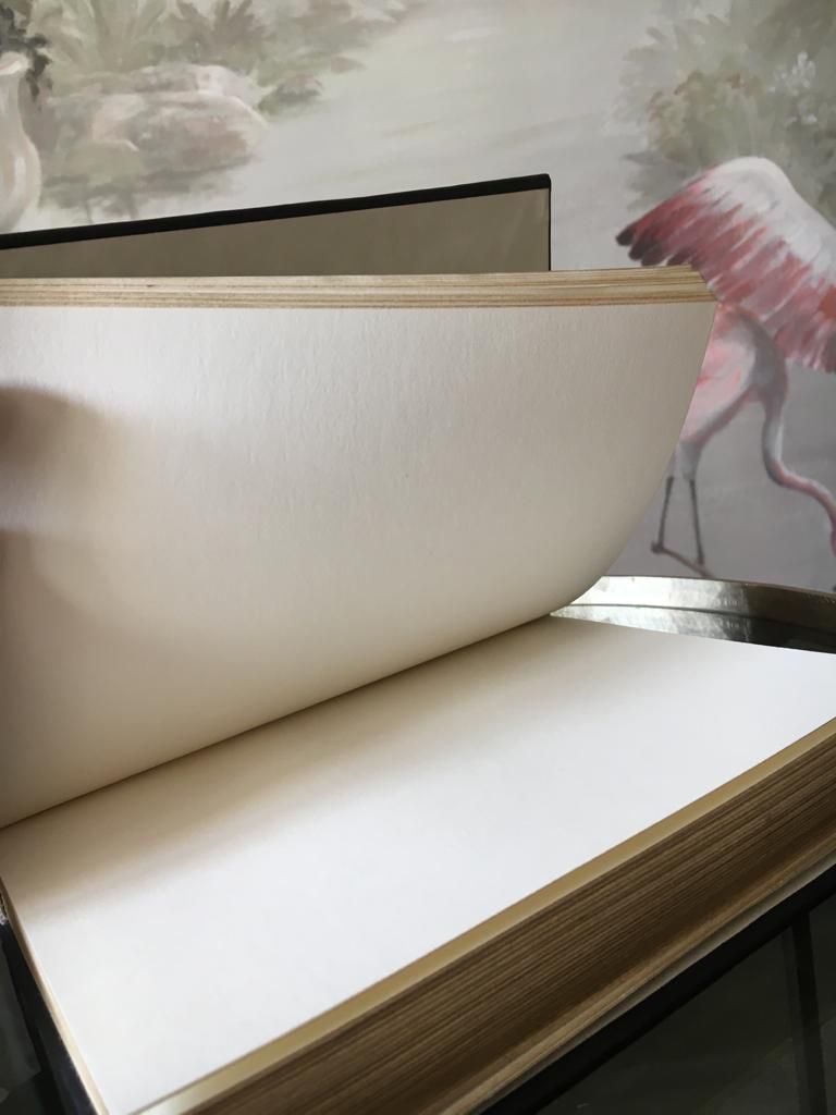 Un livre est ouvert sur une page avec un flamant rose en arrière-plan