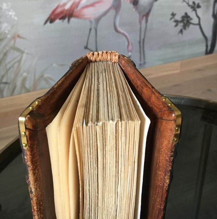 Un livre est posé sur une table avec des flamants roses en arrière-plan