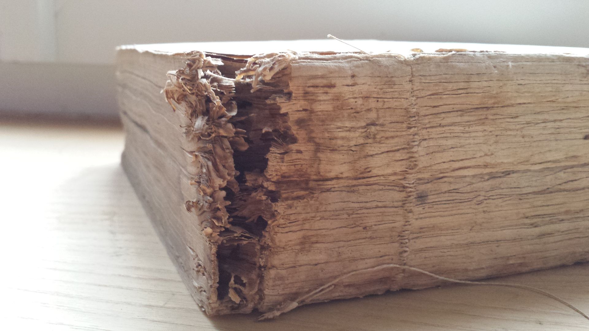 Un morceau de bois avec un trou est posé sur un plancher en bois.