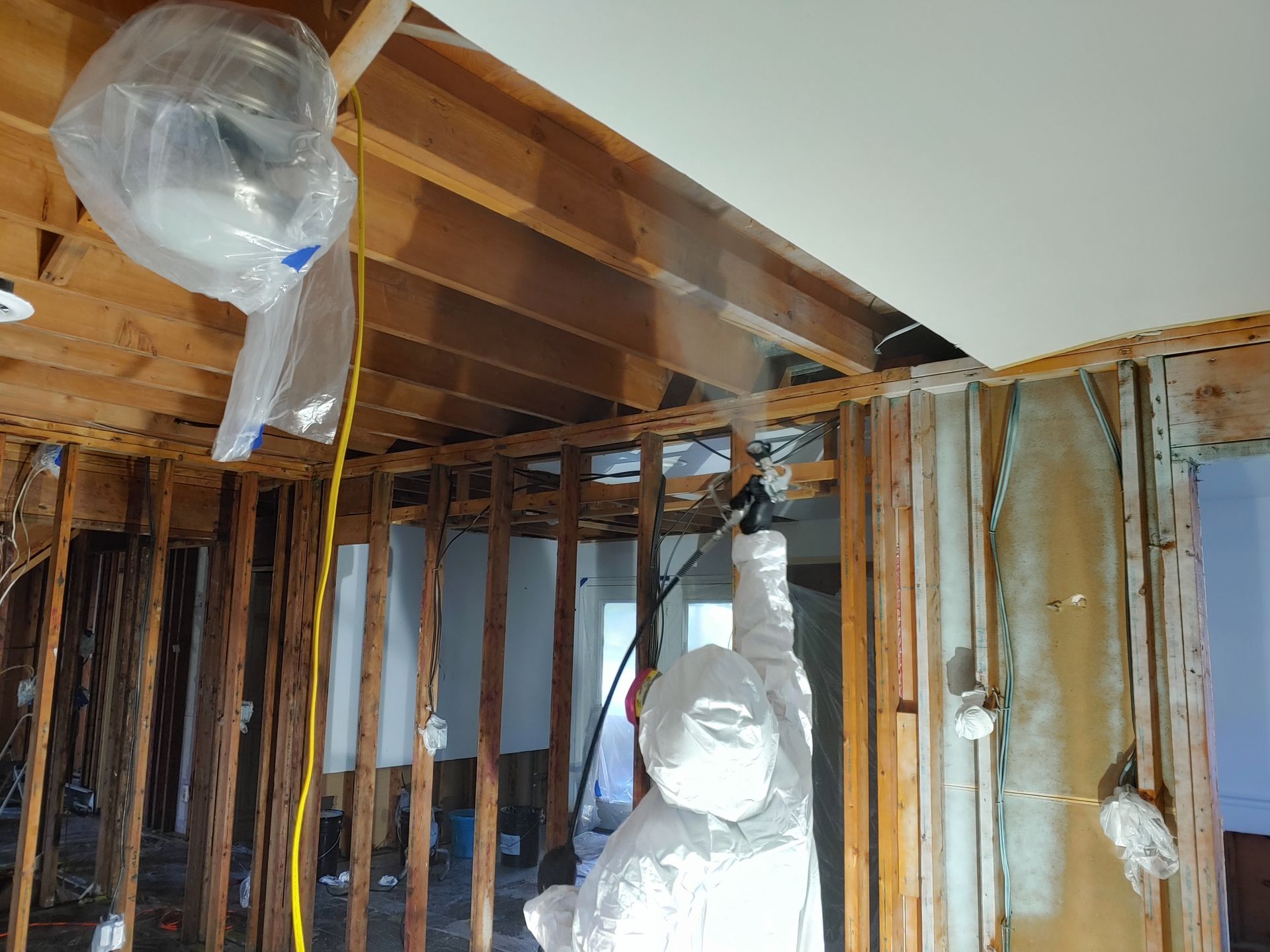 Mold Removal Baton Rouge