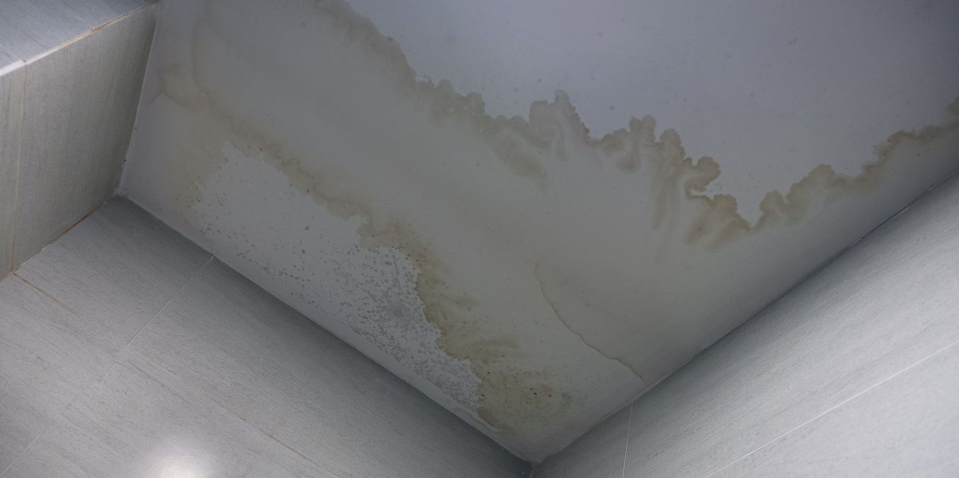 Water stains can often signify water damage and mold, which could pose significant health concerns if not addressed promptly. 