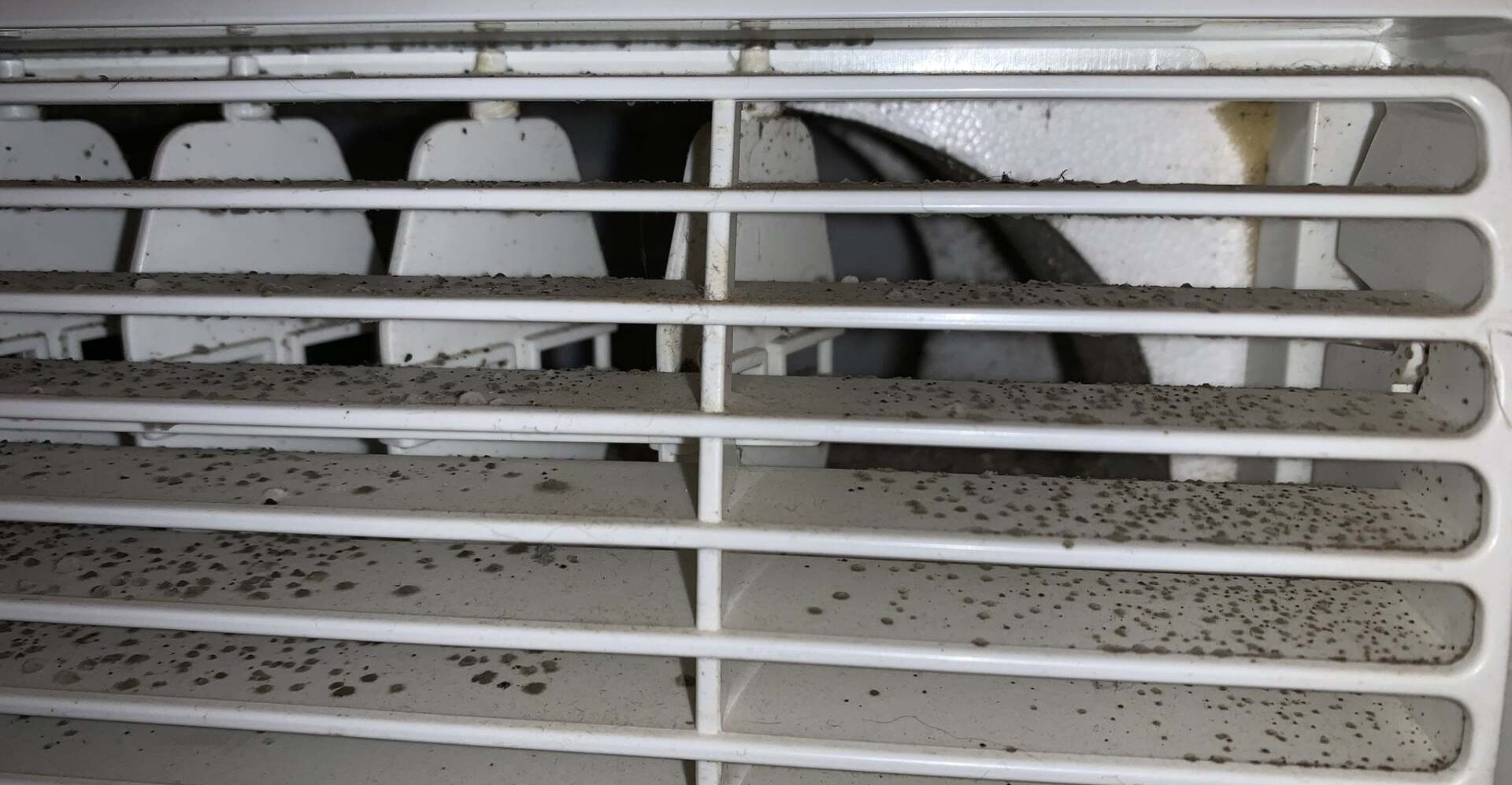 Mold in HVAC system in Louisiana