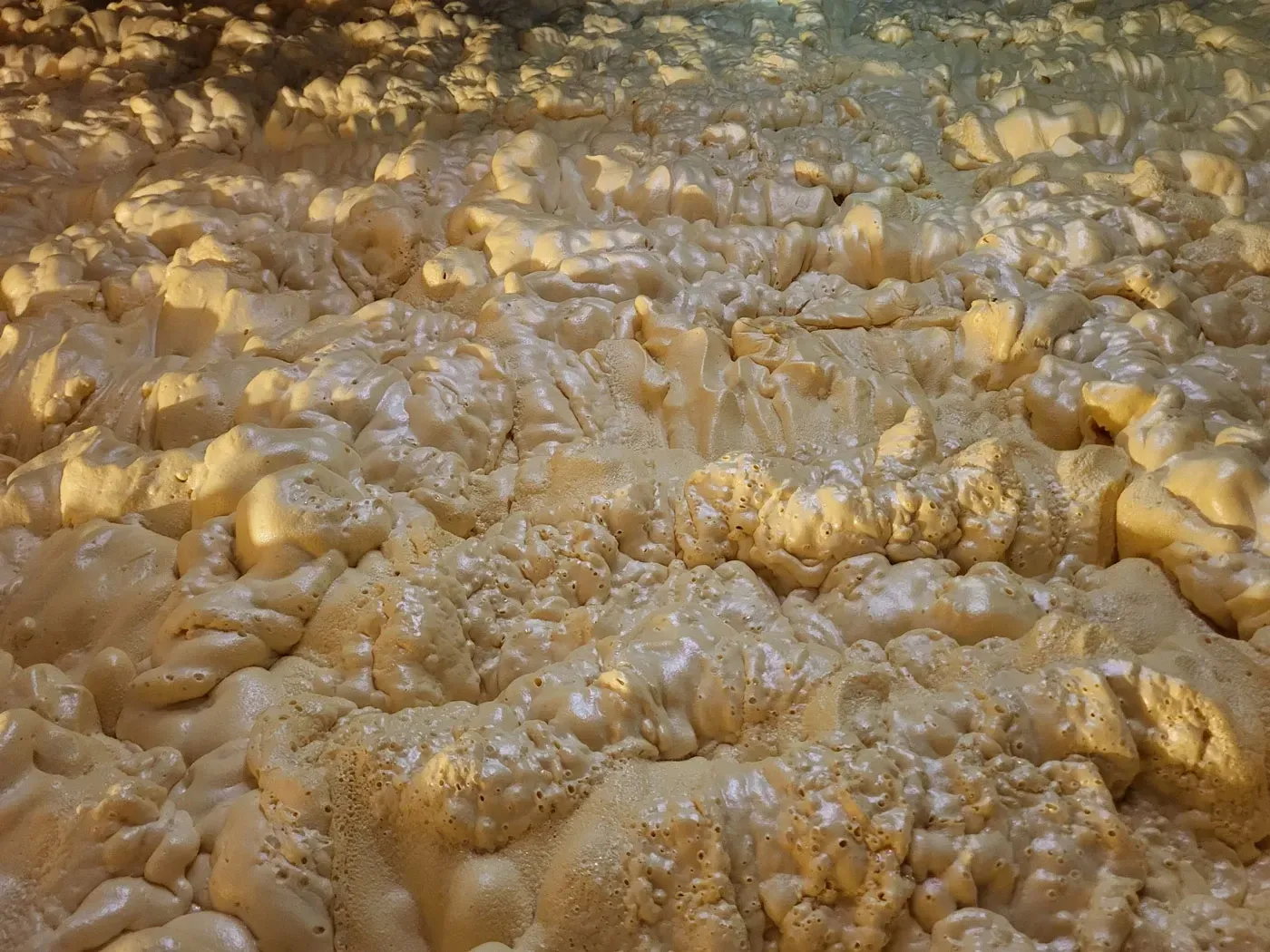 Mold Inspection Mandeville LA