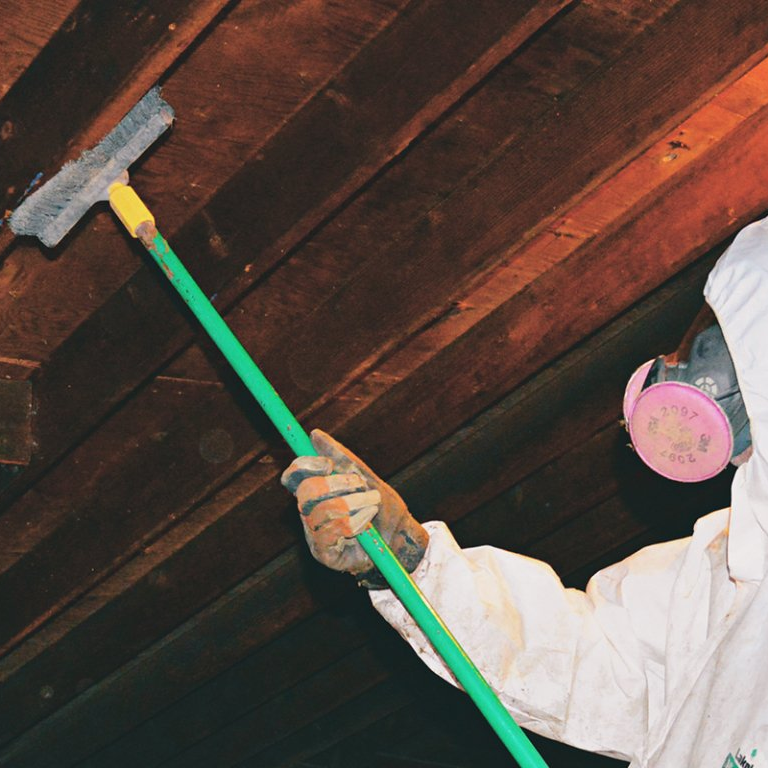 Picture of How to Tell the Difference Between Mold and Mildew