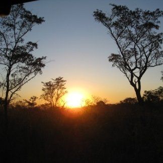 dismorfismo corporeo