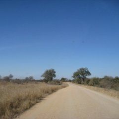 disturbi di personalità