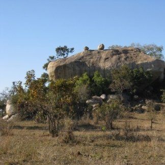 disturbi dell'alimentazione