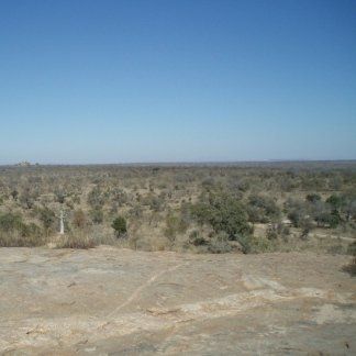 disturbo post traumatico