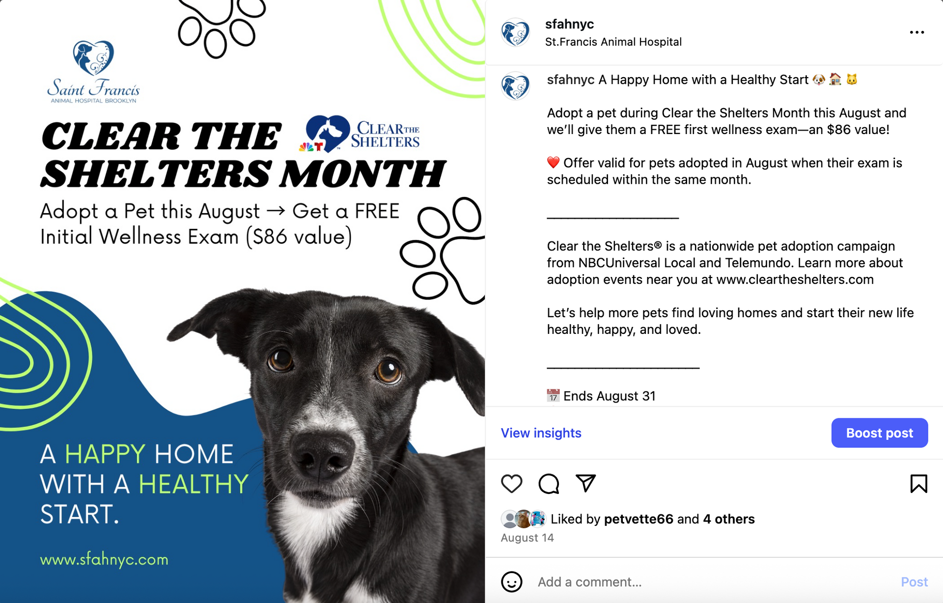 Promotional graphic for Clear the Shelters month. Includes a dog photo, text about pet adoption and a free wellness exam. Social Media Management by Sound UP Marketing