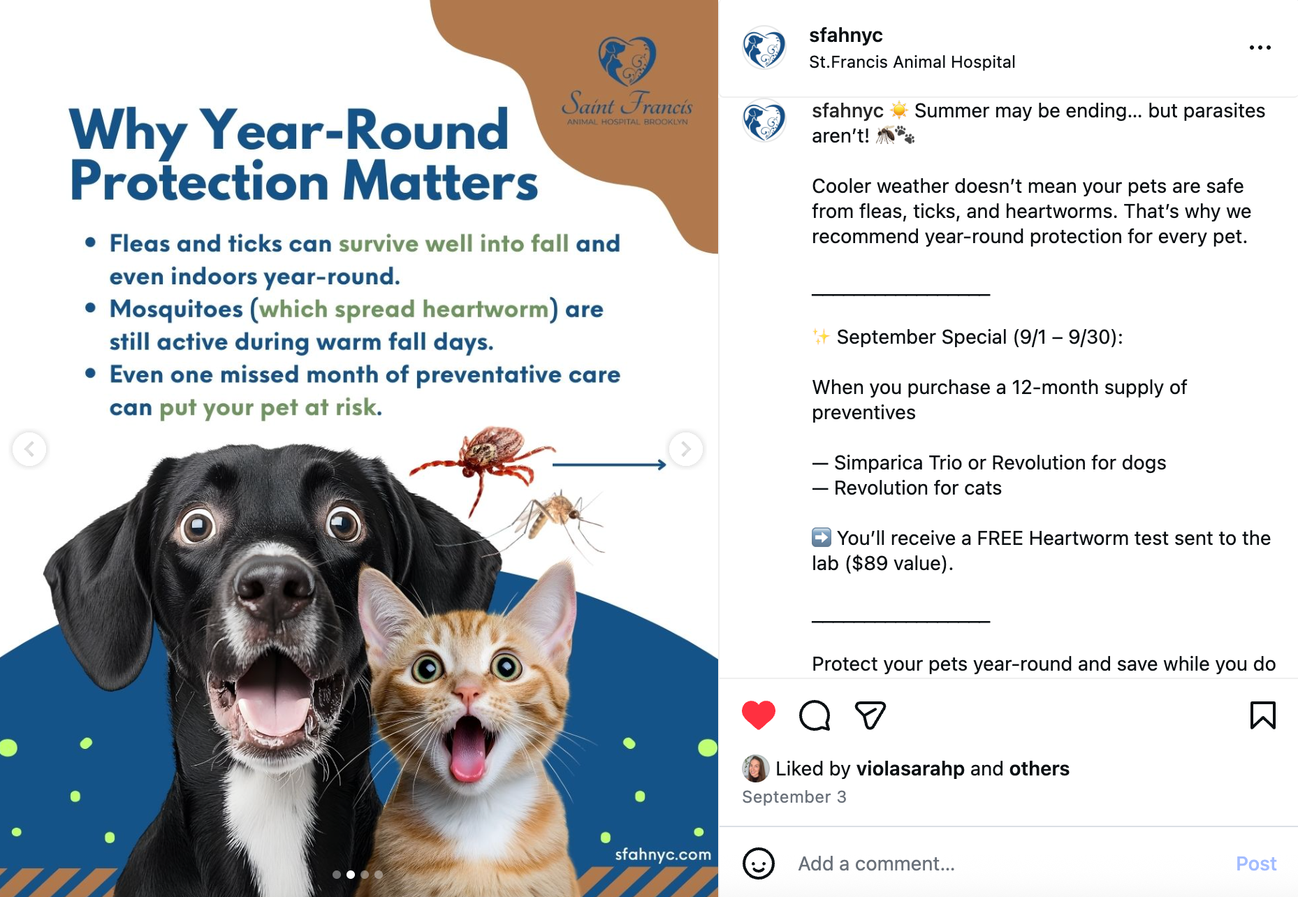 Social media marketing Dog and cat with worried expressions; infographic about year-round protection from fleas, ticks, and mosquitoes.
