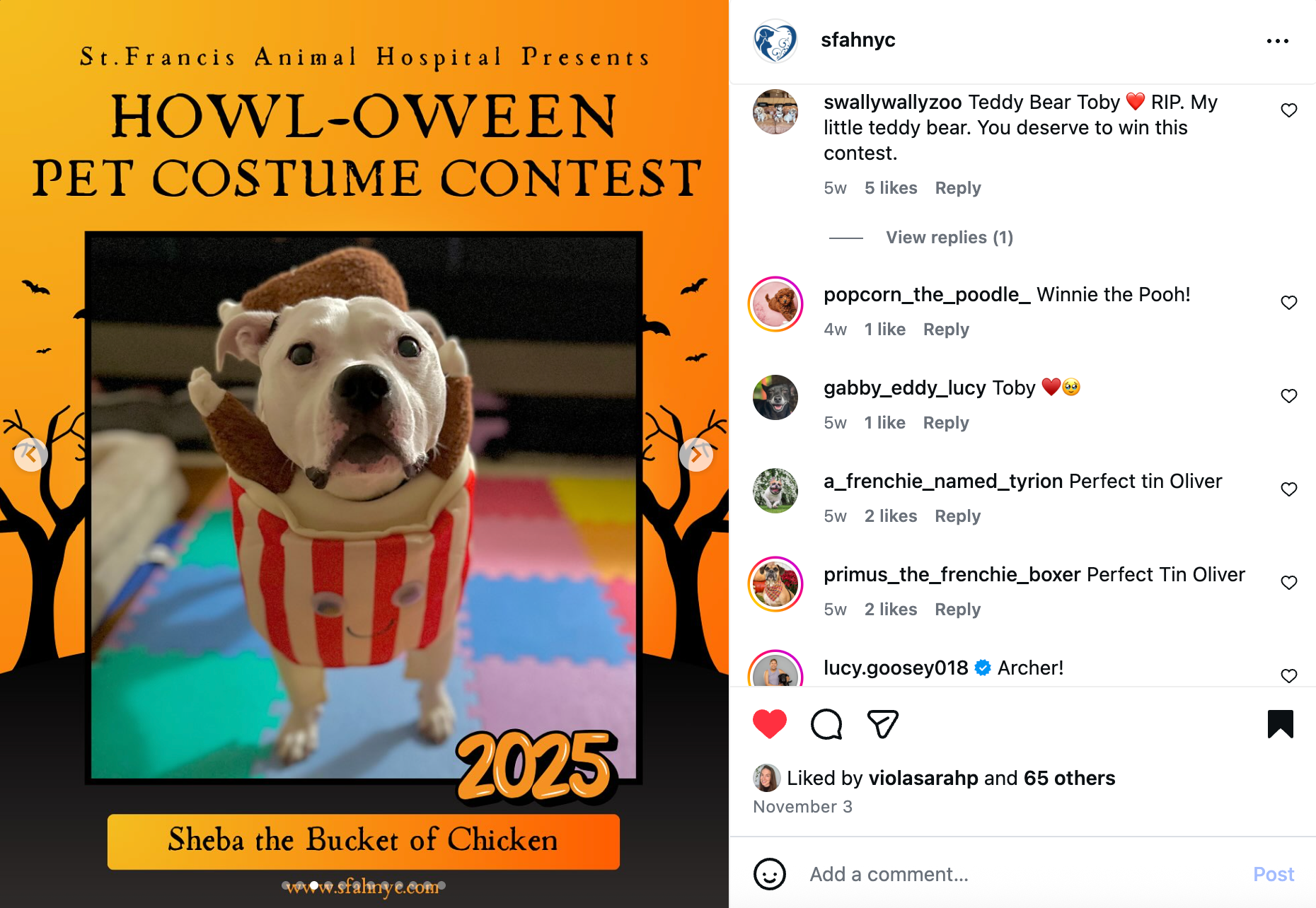 Social media marketing Dog in popcorn costume for Halloween contest, orange and black poster with text.