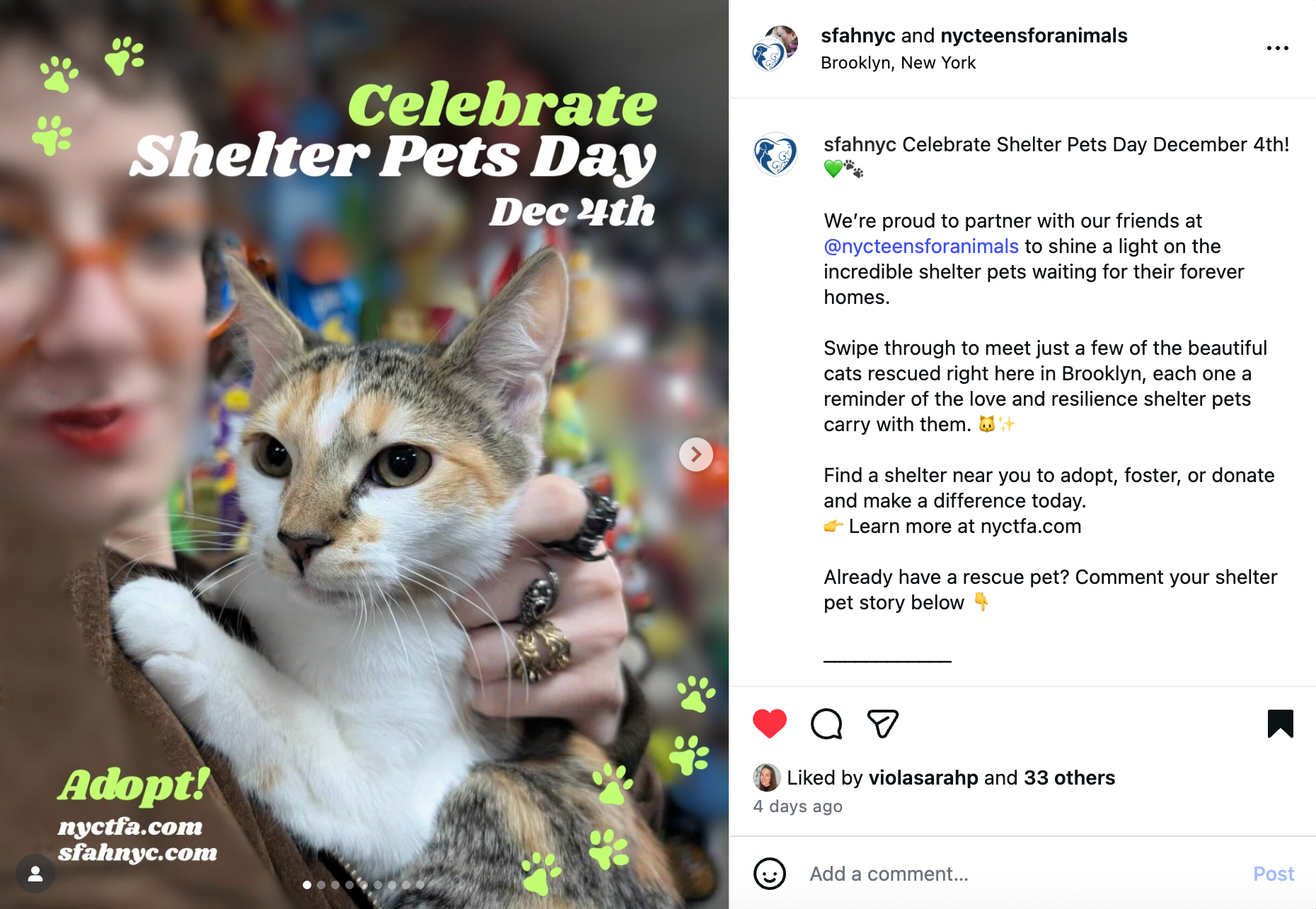 Social media marketing Woman holding a calico cat to promote Shelter Pets Day, with adoption info on the poster.