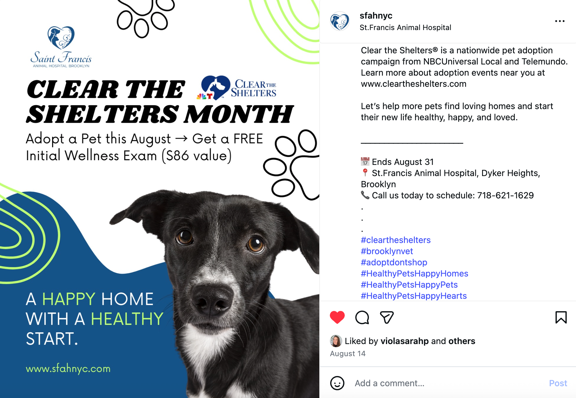 Social media marketing Promotional graphic for Clear the Shelters month. Includes a dog photo, text about pet adoption and a free wellness exam. Social Media Management by Sound UP Marketing