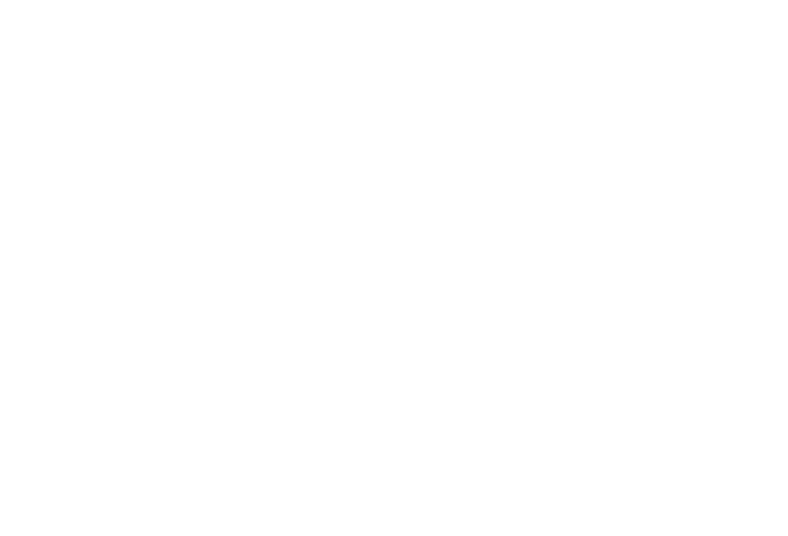 summit house recovery logo