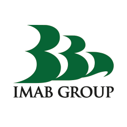 Un logo verde per un'azienda chiamata imad group