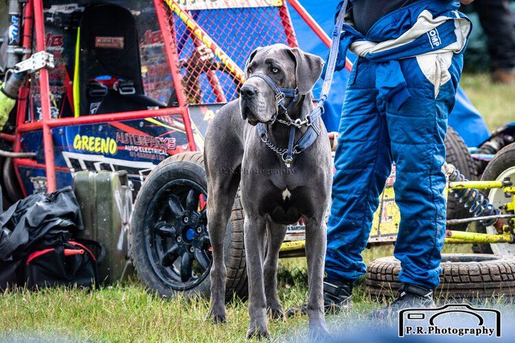 A group of dirt cars are racing on a dirt track.