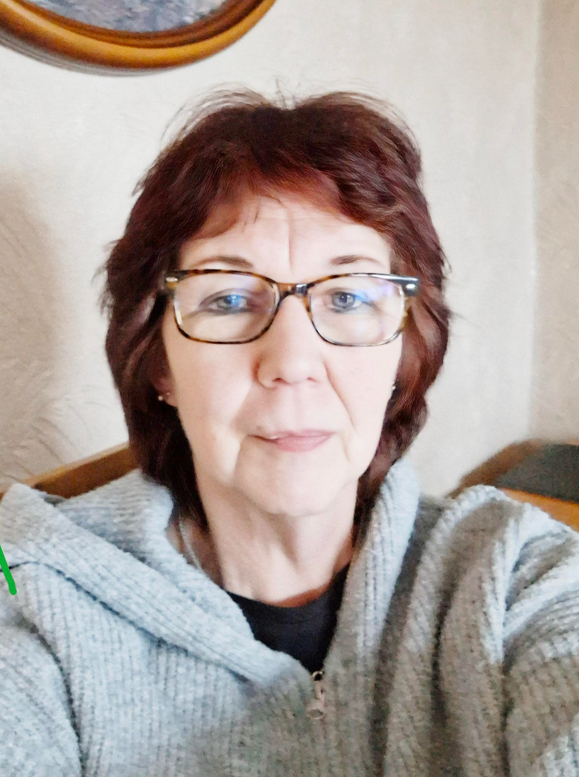 Woman with glasses and auburn hair wearing a gray hoodie, looking at the camera.