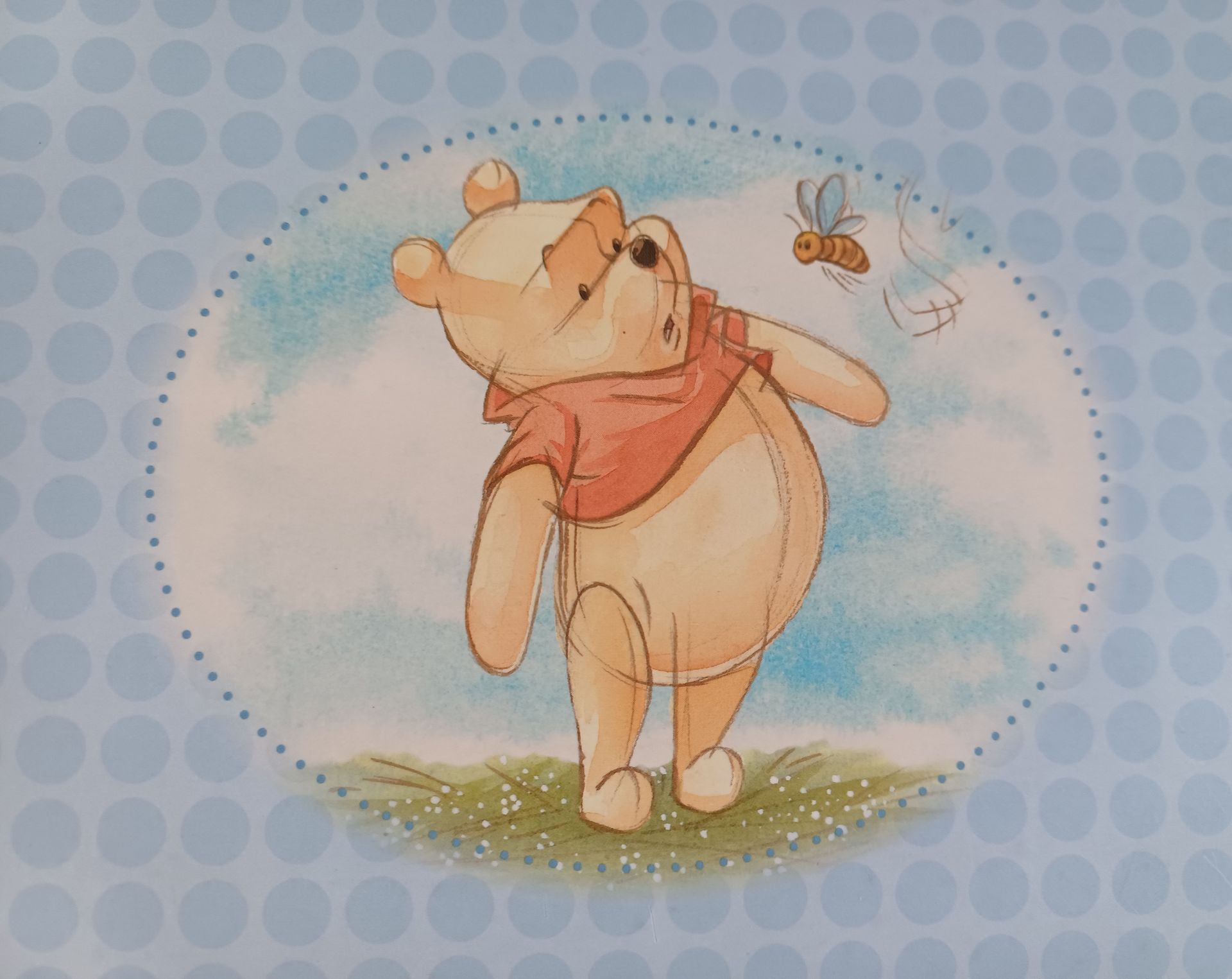 Henzo Winnie the Pooh fotoalbum