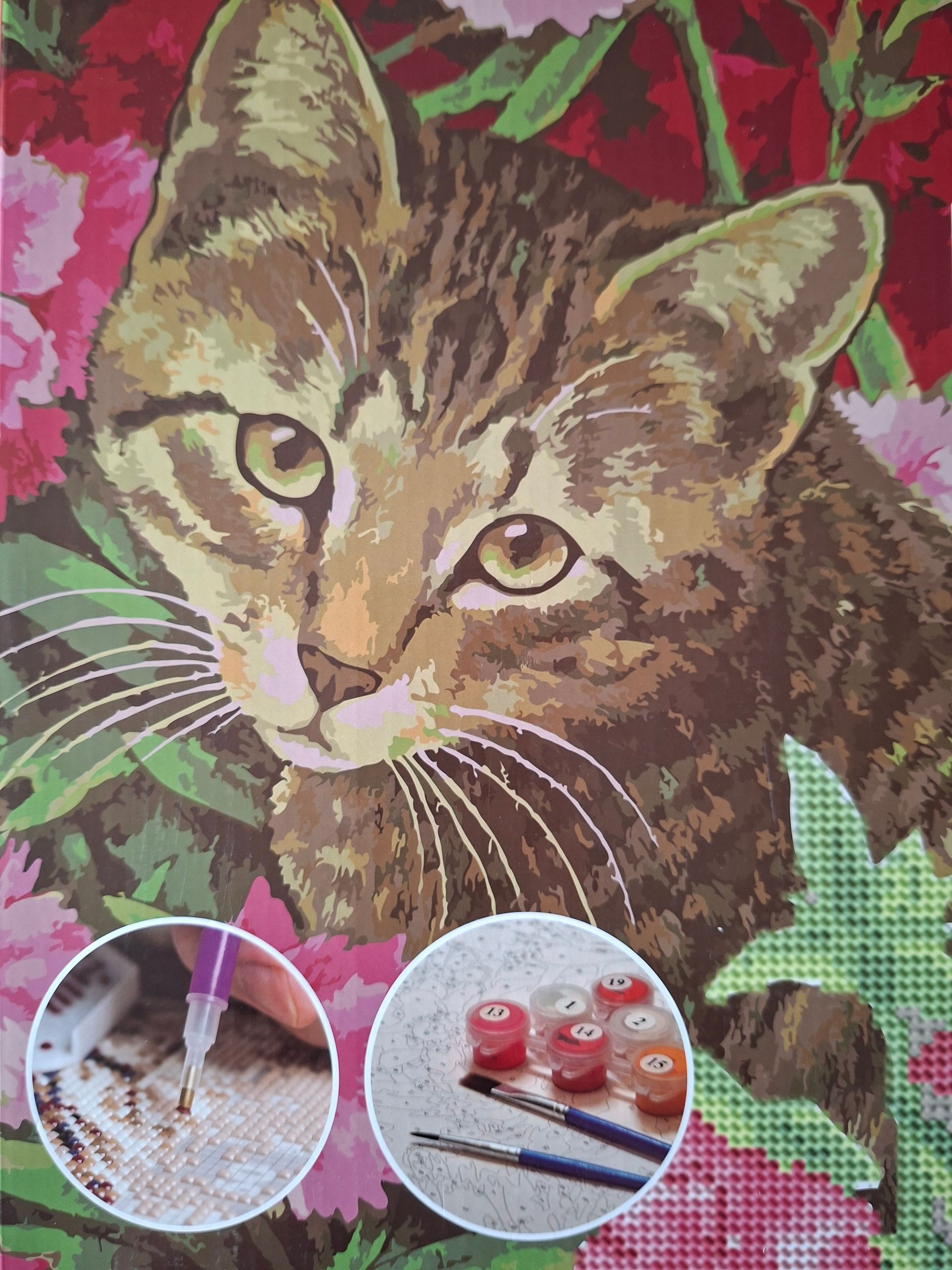 Franciens Katten DIY-pakket 