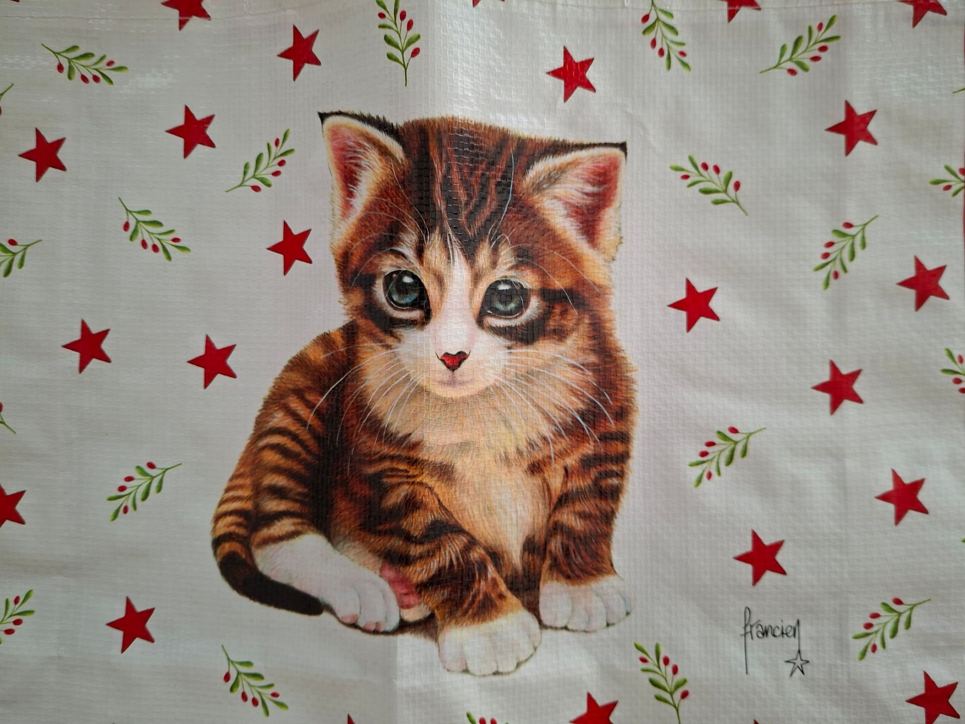 Franciens Katten bigshopper - Art.nr. 2025/1050